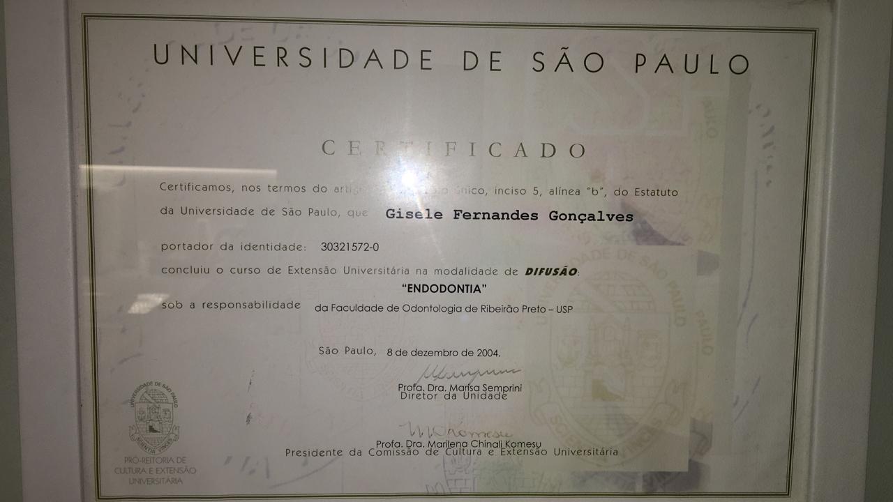 Endodontia na USP, Universidade de São Paulo - 2004